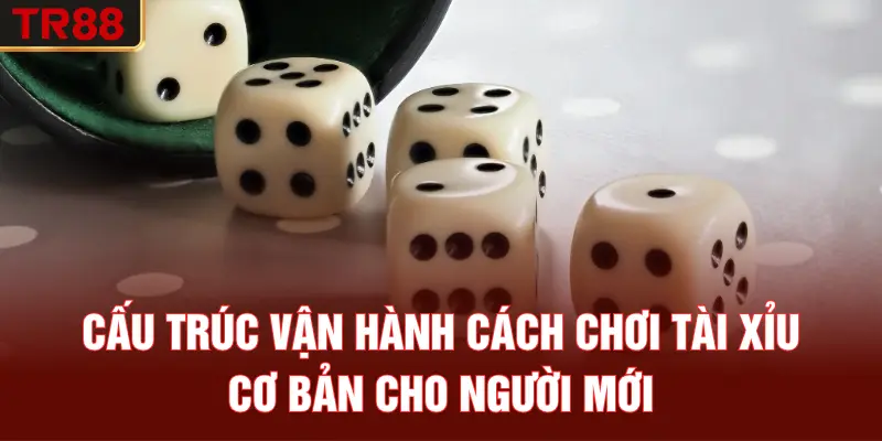 Cấu trúc vận hành cách chơi tài xỉu cơ bản cho người mới