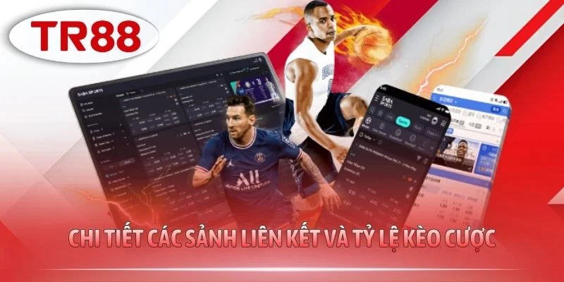 Chi tiết các sảnh liên kết và tỷ lệ kèo cược
