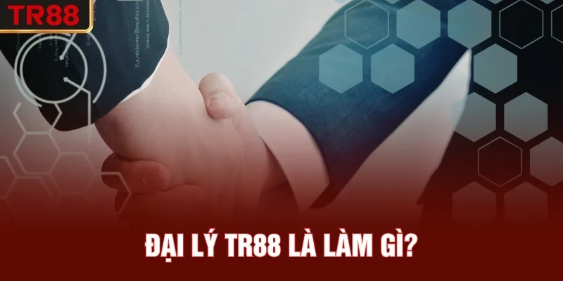 Đại lý TR88 là làm gì?