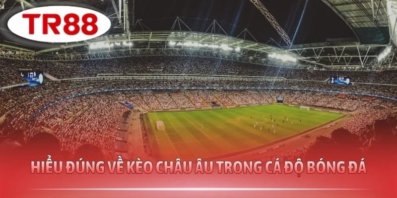 Hiểu đúng về kèo Châu Âu trong cá độ bóng đá