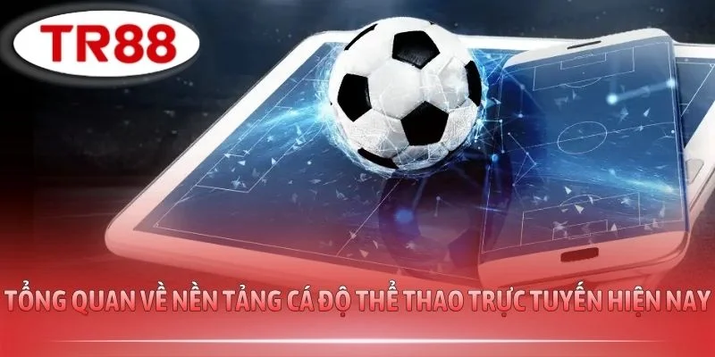 Tổng quan về nền tảng cá độ thể thao trực tuyến hiện nay